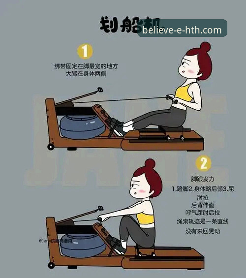 揭秘华体会体育平台：资深玩家都在用的官网入口高效使用技巧